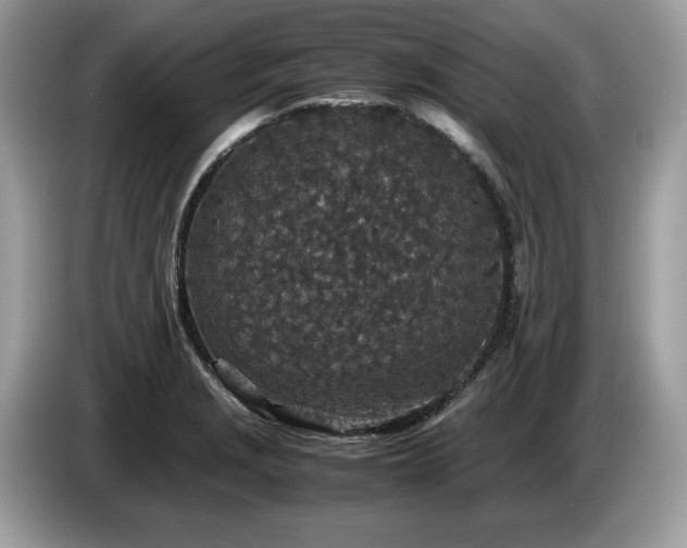 X0000087561229200704271220