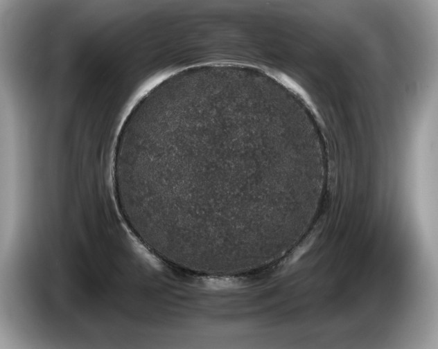 X0000087561231200704271220