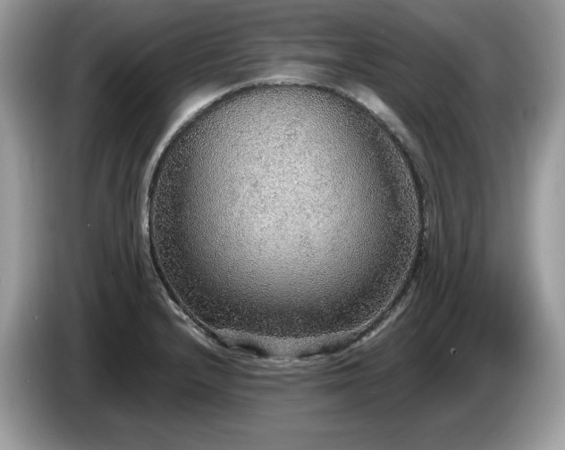 X0000087561232200704271220