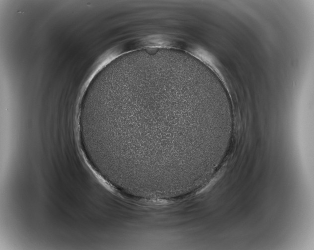 X0000087561235200704271220