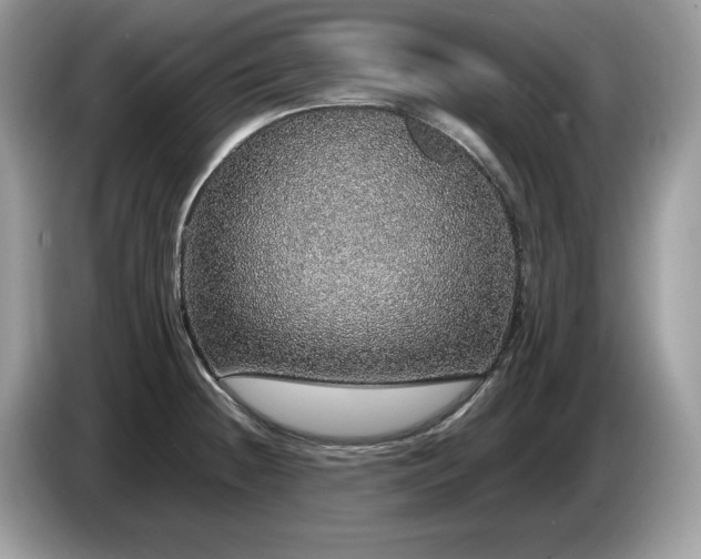 X0000087561236200704271220