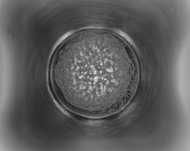 X0000087561237200704271220