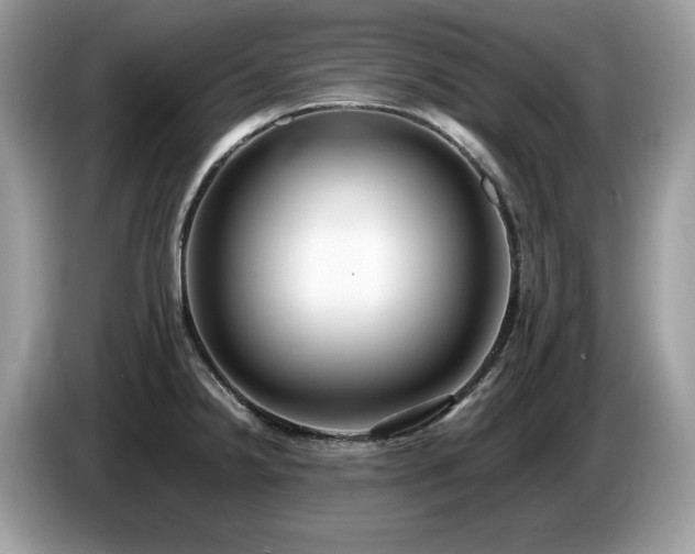 X0000087561238200704271220