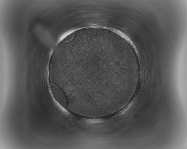 X0000087561239200704271220