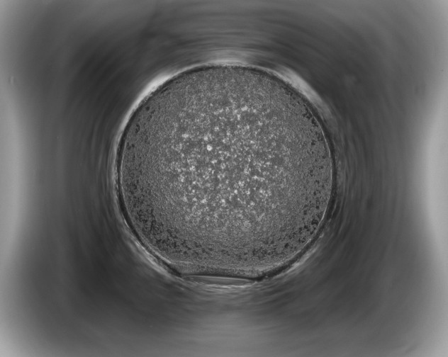 X0000087561240200704271220
