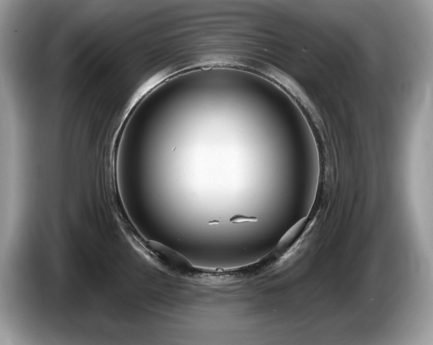 X0000087561242200704271220