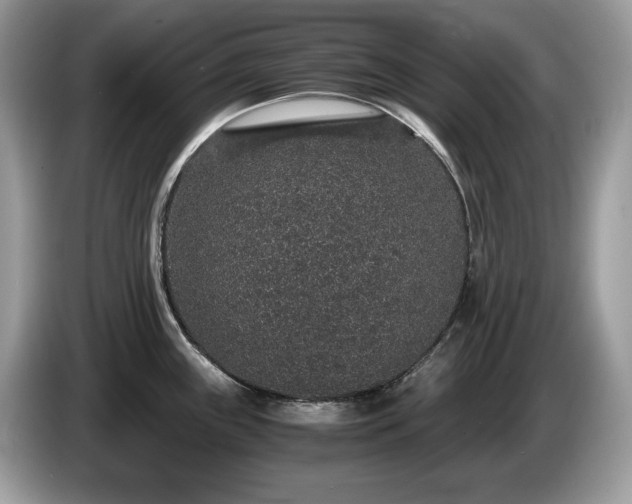 X0000087561243200704271220