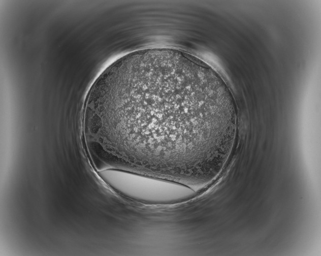 X0000087561244200704271220