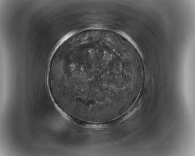 X0000087561245200704271220