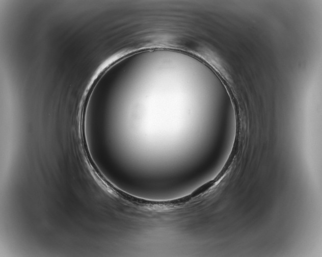 X0000087561246200704271220