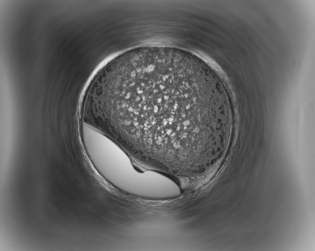 X0000087561248200704271220