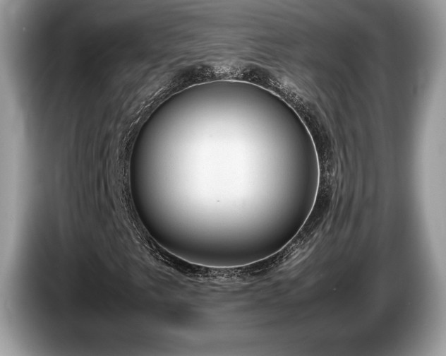 X0000087561249200704271220