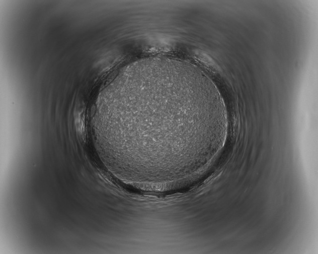 X0000087561250200704271220