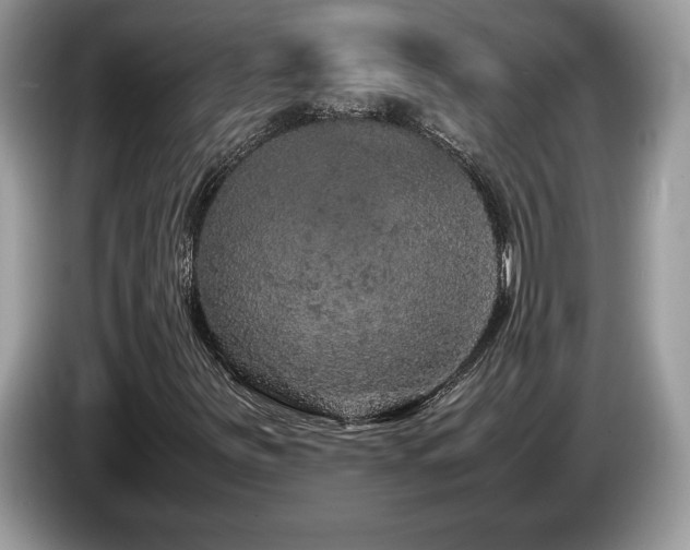 X0000087561251200704271220