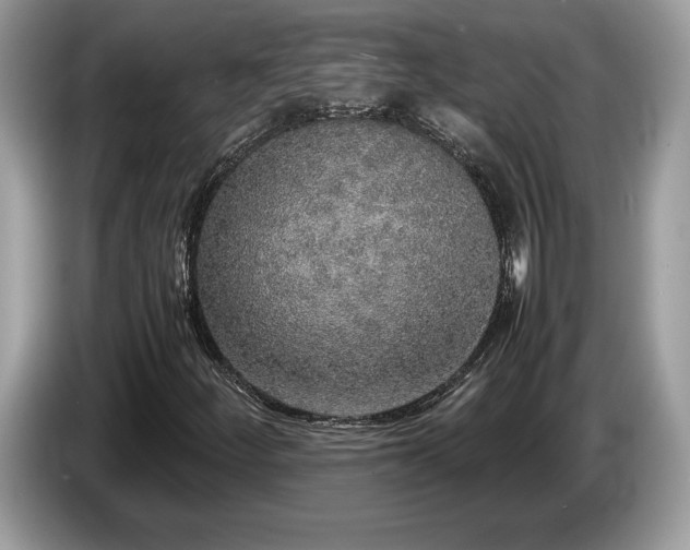 X0000087561252200704271220
