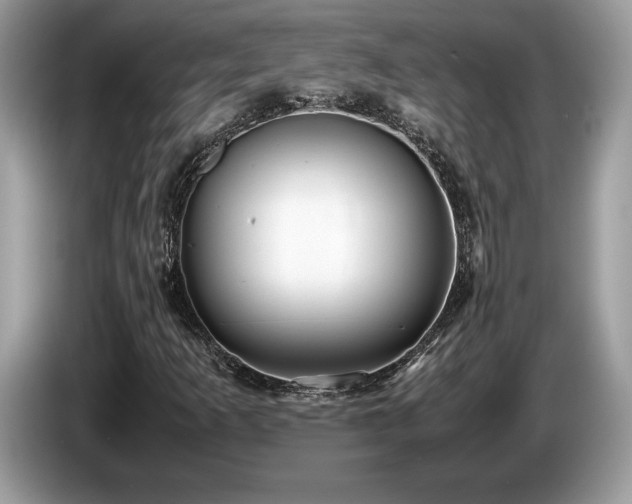 X0000087561253200704271220
