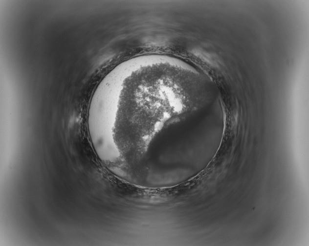 X0000087561254200704271220