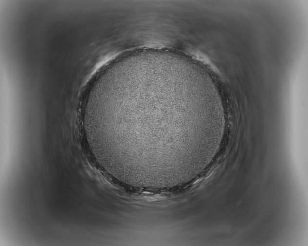 X0000087561256200704271220