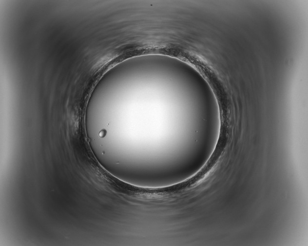 X0000087561257200704271220