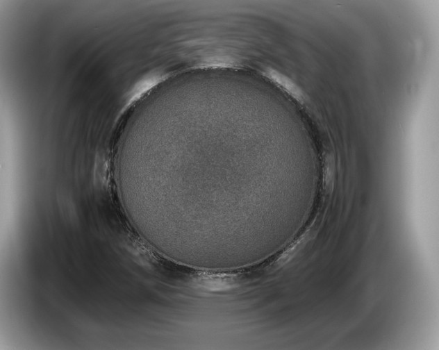X0000087561258200704271220