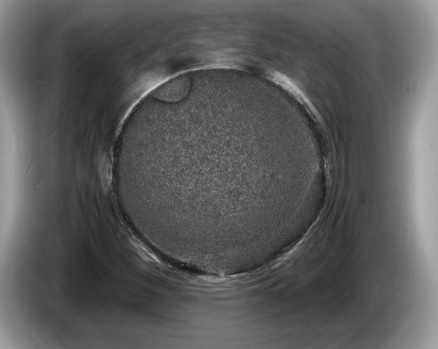X0000087561260200704271220