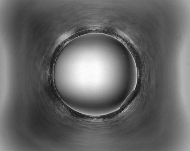 X0000087561261200704271220