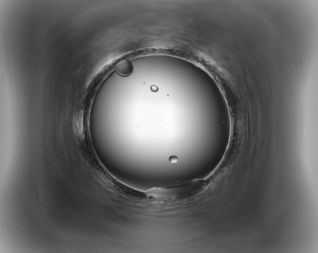 X0000087561262200704271220