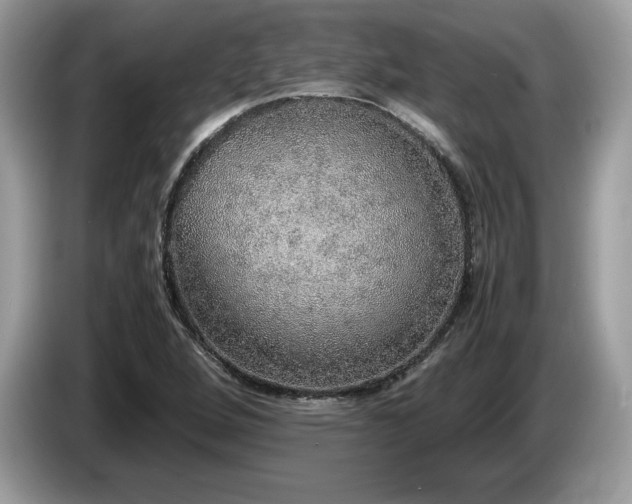 X0000087561264200704271220