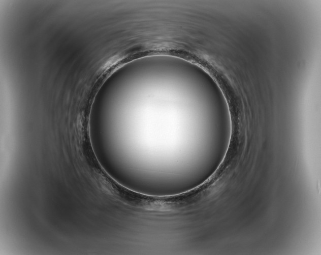 X0000087561265200704271220