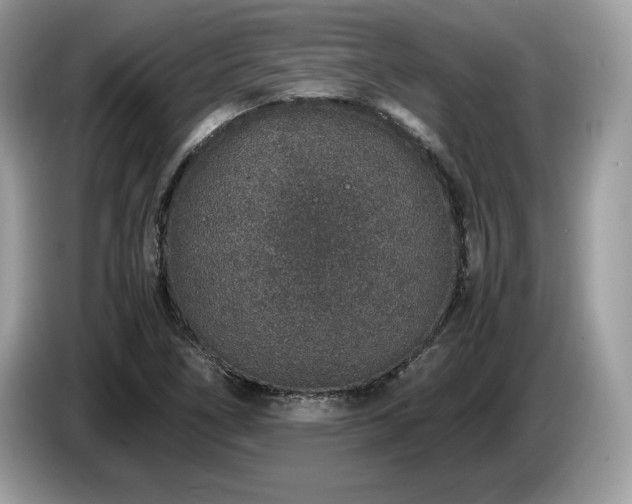 X0000087561266200704271220