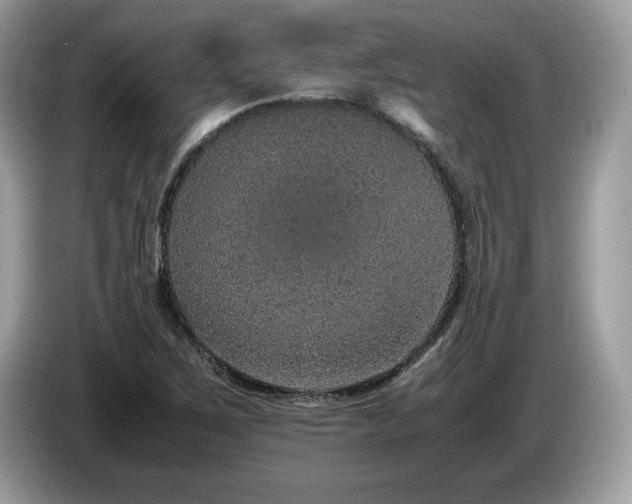 X0000087561267200704271220