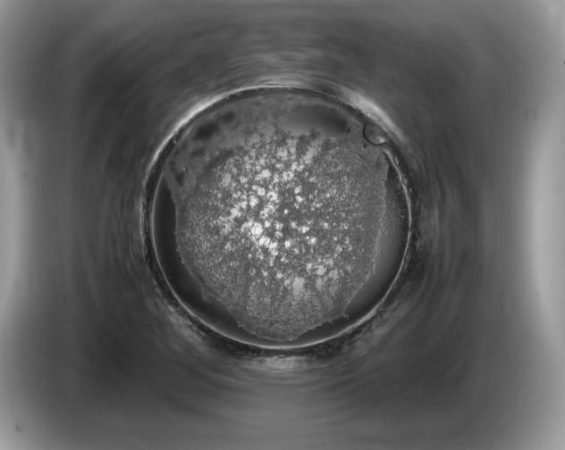X0000087561268200704271220