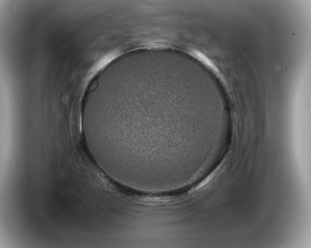 X0000087561269200704271220