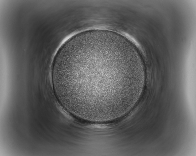 X0000087561272200704271220