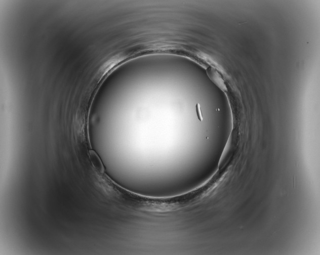 X0000087561273200704271219