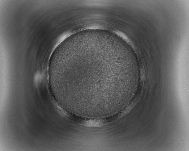 X0000087561274200704271219