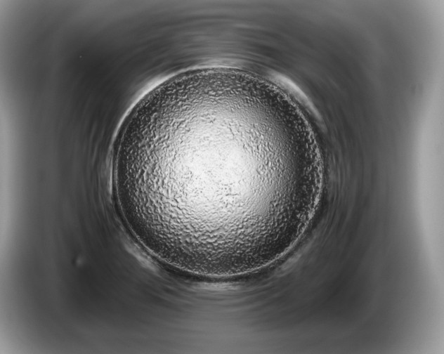 X0000087561276200704271219