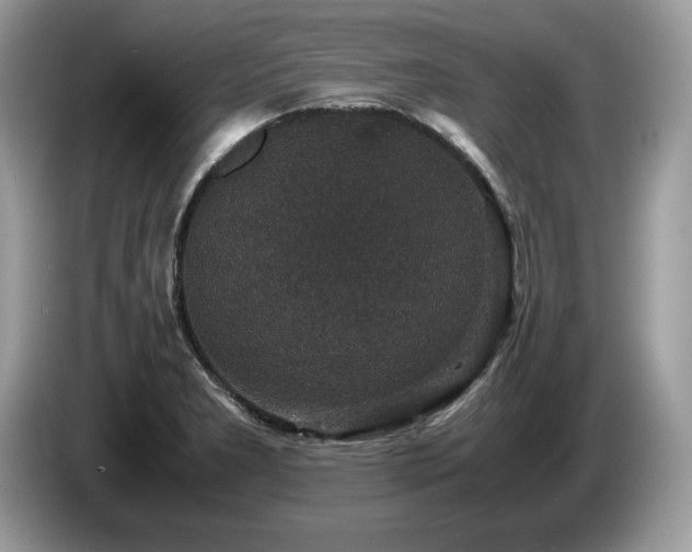 X0000087561277200704271219