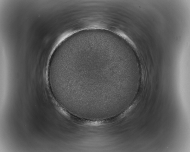 X0000087561278200704271219