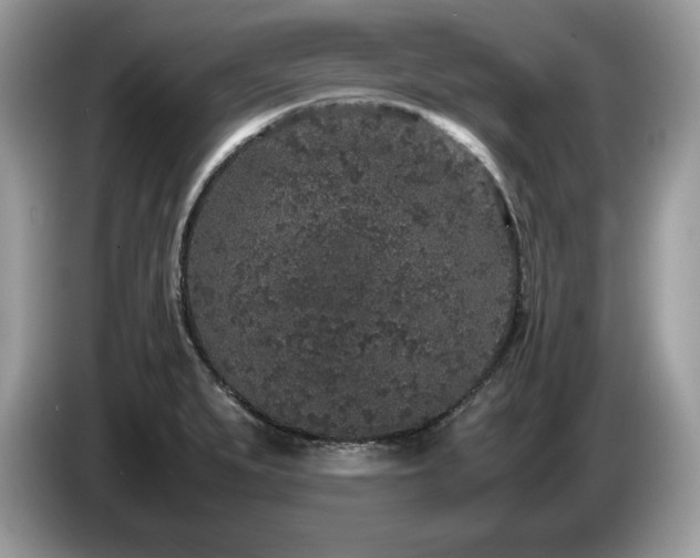 X0000087561279200704271219