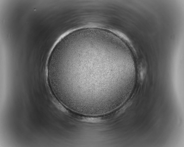 X0000087561280200704271219