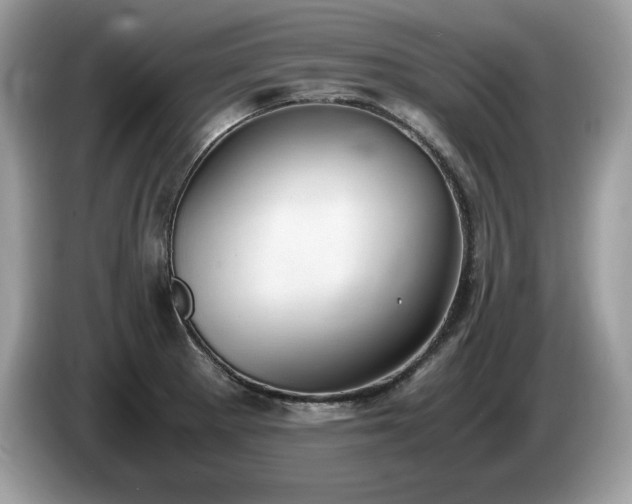 X0000087561281200704271219