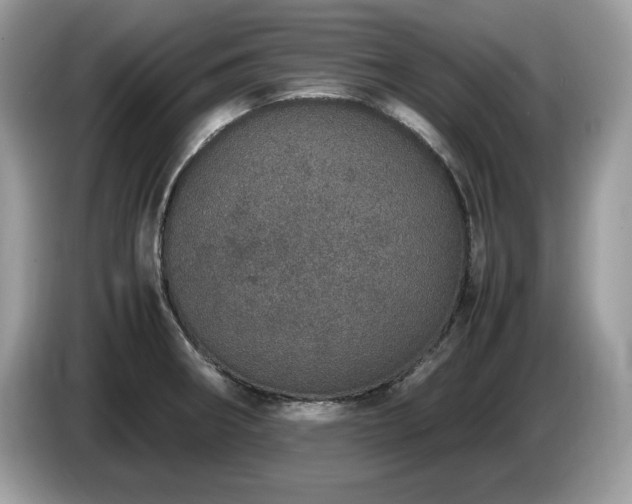 X0000087561282200704271219