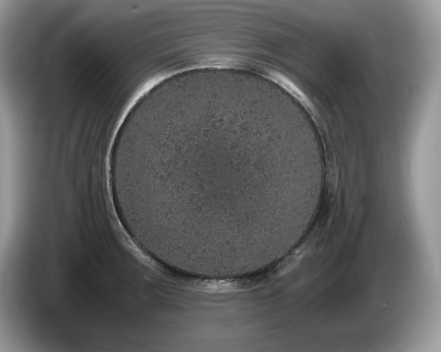 X0000087561283200704271219