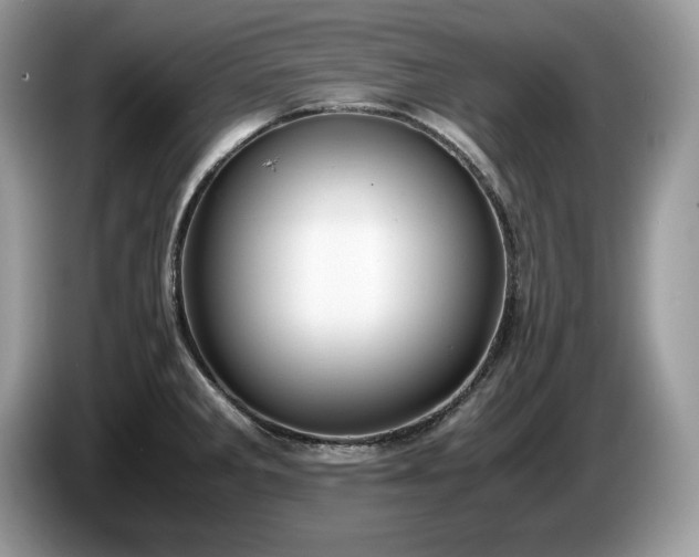 X0000087561285200704271219