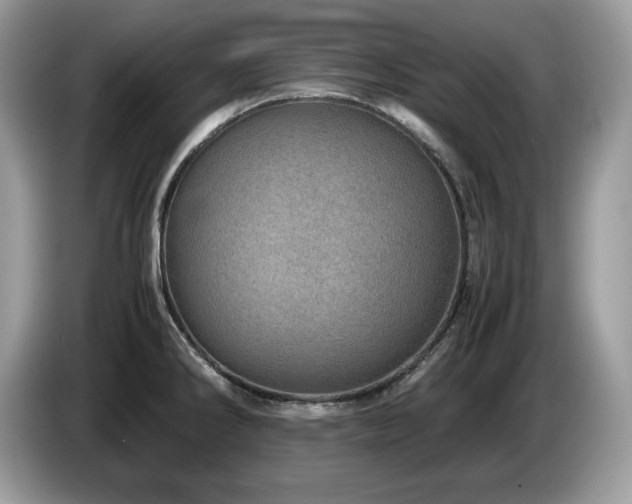 X0000087561286200704271219