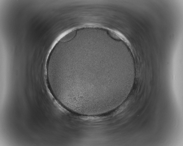X0000087561287200704271219