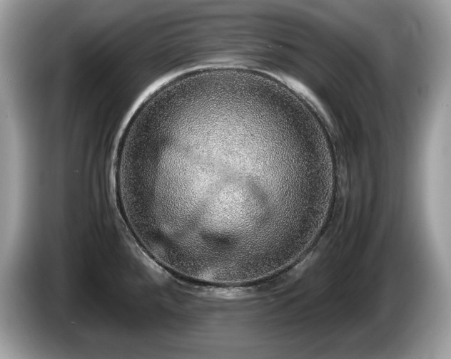 X0000087561288200704271219