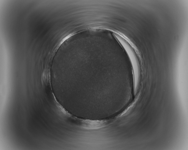 X0000087561289200704271219