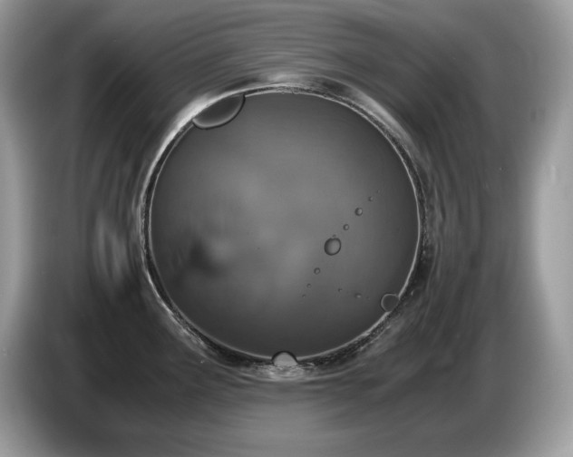 X0000087561291200704271219
